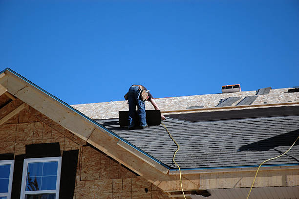 Best Roof Gutter Cleaning  in Brusly, LA